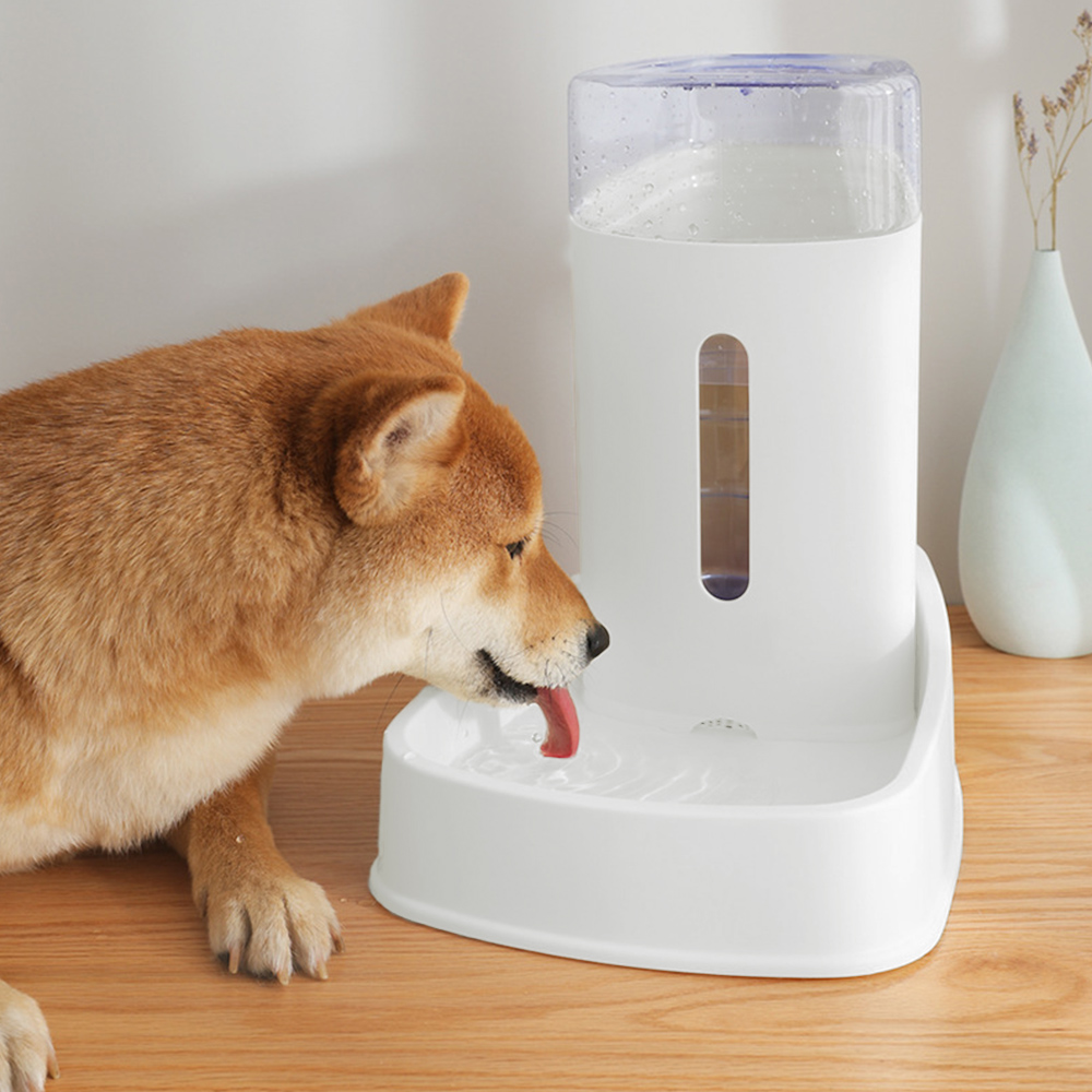 rabbit drinking bowl